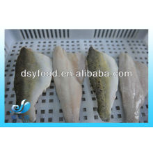 Frozen sea bass fillet